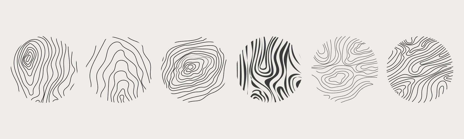 Wood texture material doodle hand drawn line. Tree trunk geometric curve and wave contour. Rings and circles. vector