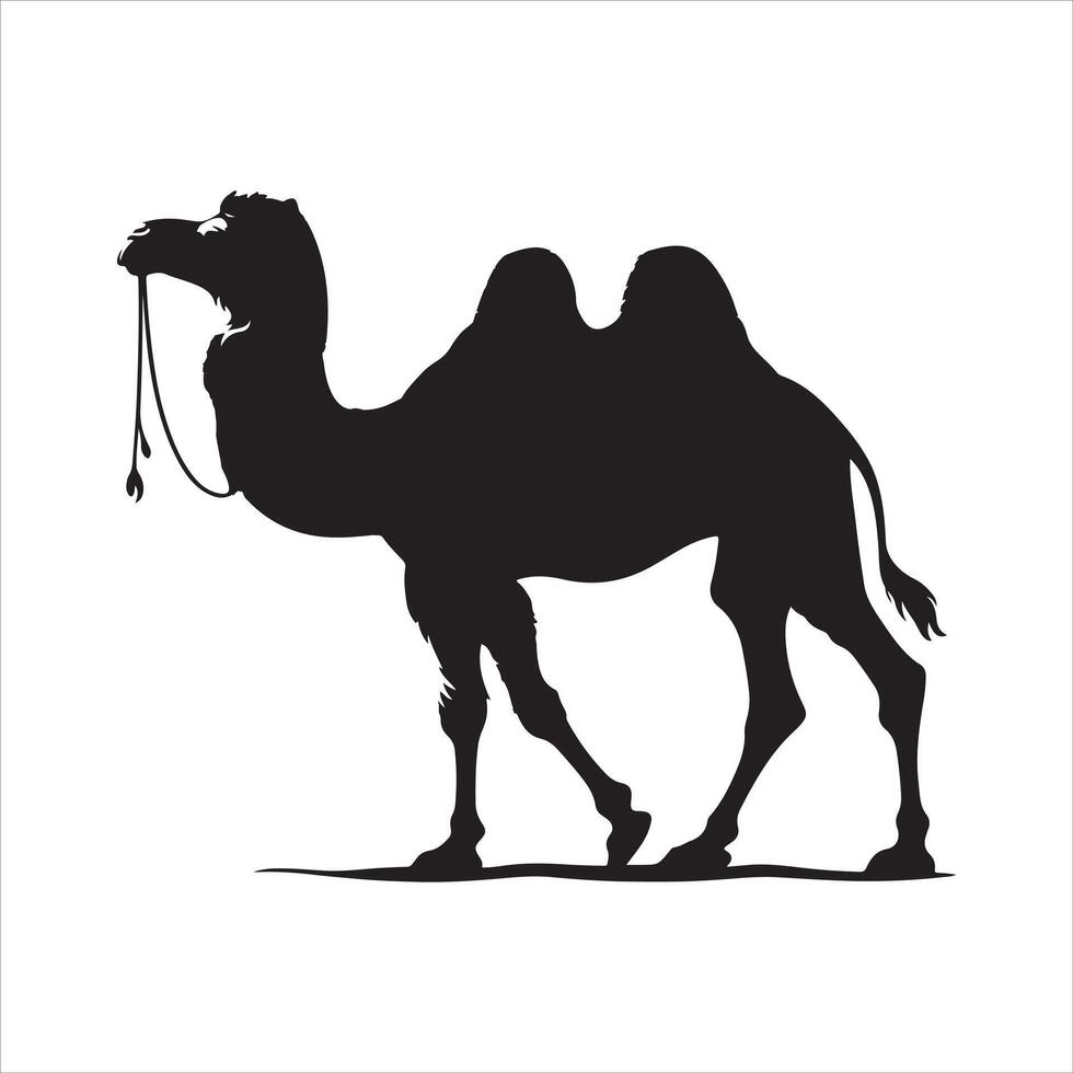 Camel silhouette icon Camel icon vector