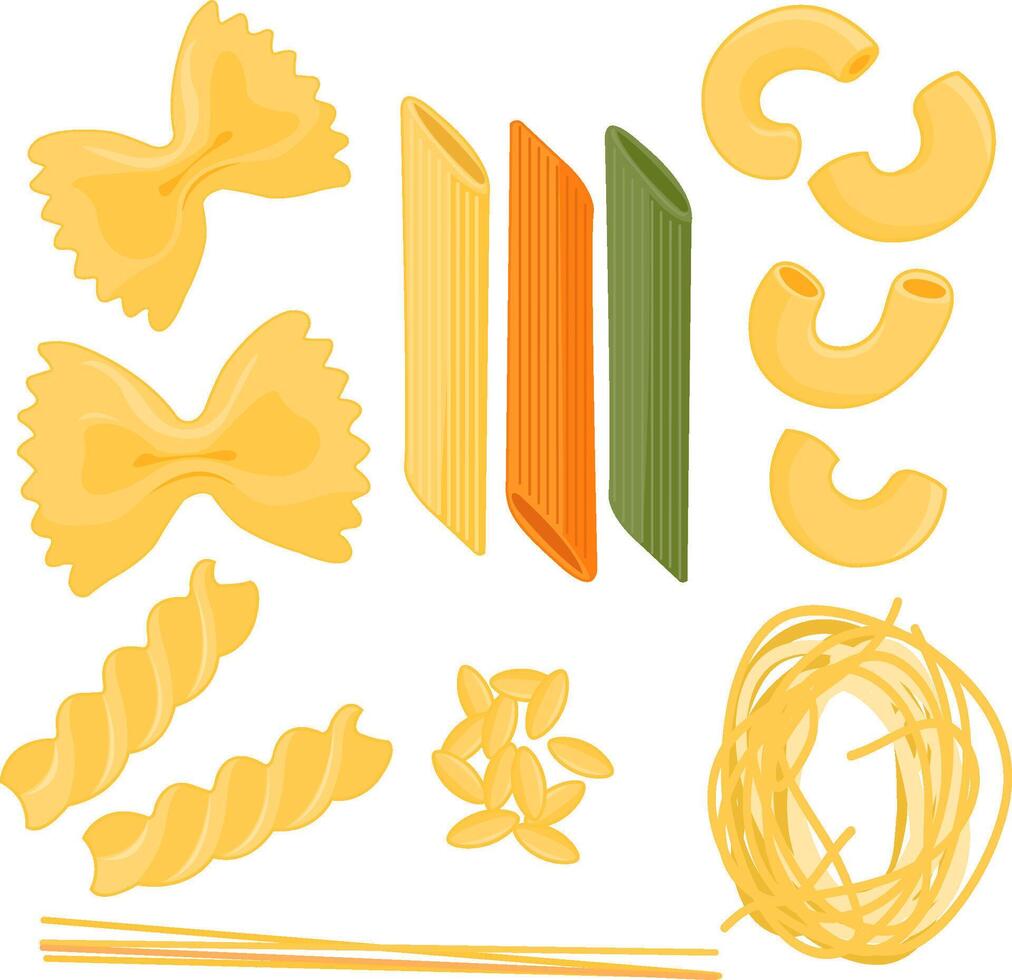 Italian cuisine. Set of different types and shapes of pasta. Farfalle, penne, spaghetti, elbow pasta, orzo and fusilli. vector