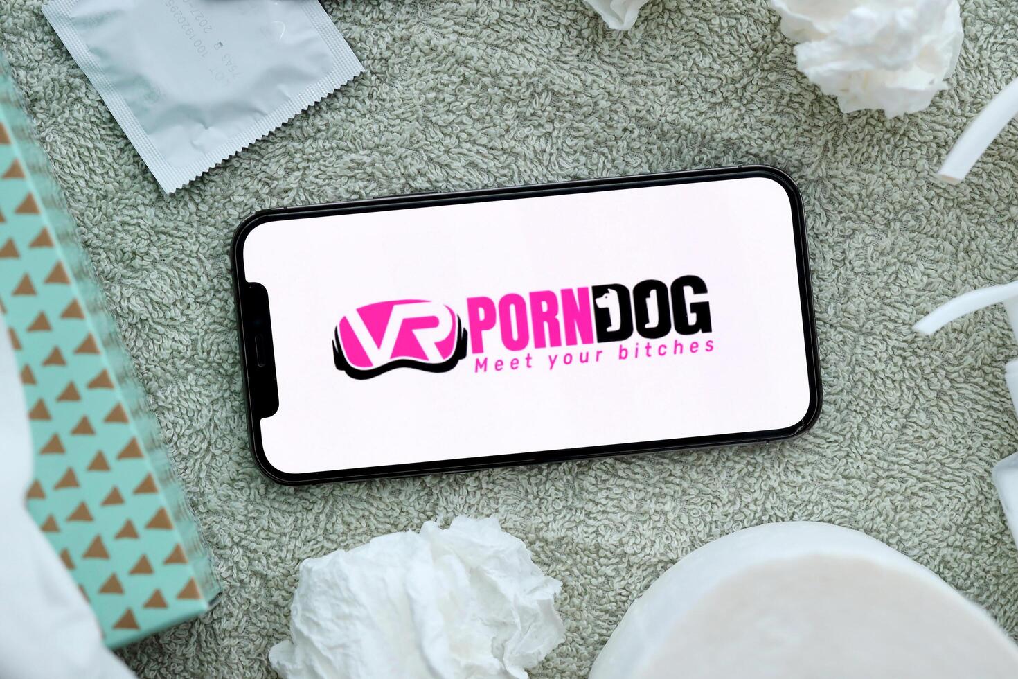 KYIV, UKRAINE - JANUARY 23, 2024 VRPornDog adult content website logo on display of iPhone 12 Pro photo