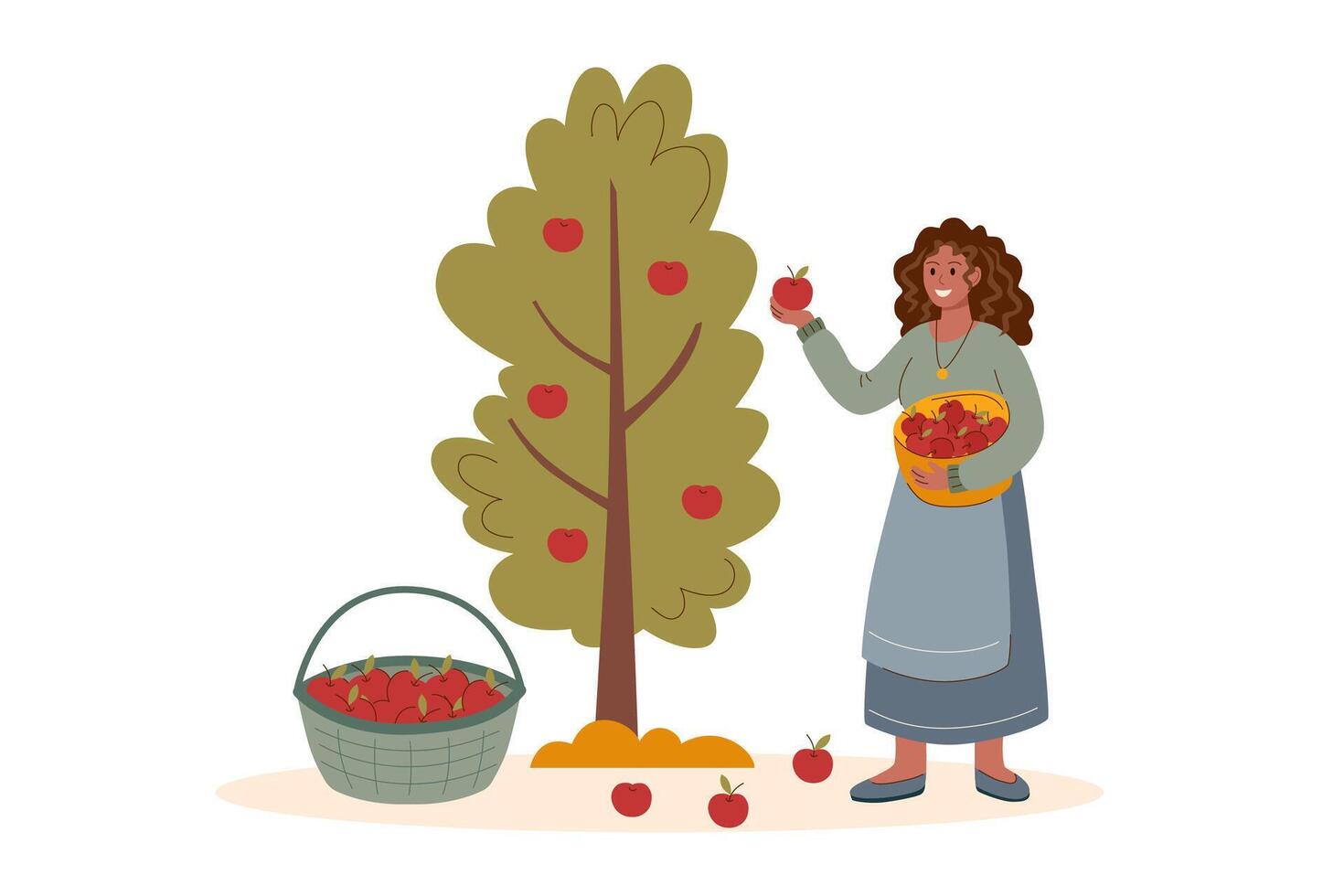 Harvest festival poster. Happy harvest background. Autumn, harvest and Thanksgiving concept. Woman with basket of apples, picking apples, isolated on white. vector