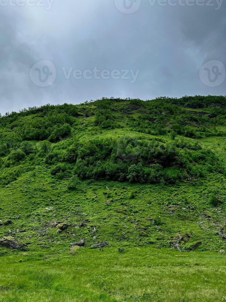 Bright green grass on the mountainside and gray cloudy sky photo