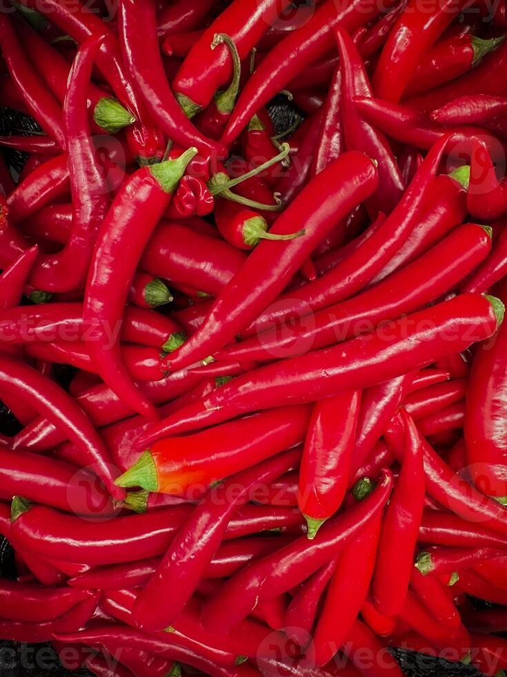 Red hot chilli peppers pattern texture background. Close up. Landscape. A backdrop of Red hot chilli peppers. Vegetable market. Group of Red hot chilli peppers photo