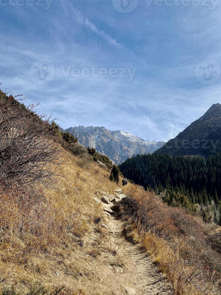 Scenic trail with snowcapped peak view, perfect for outdoor enthusiasts seeking adventure photo