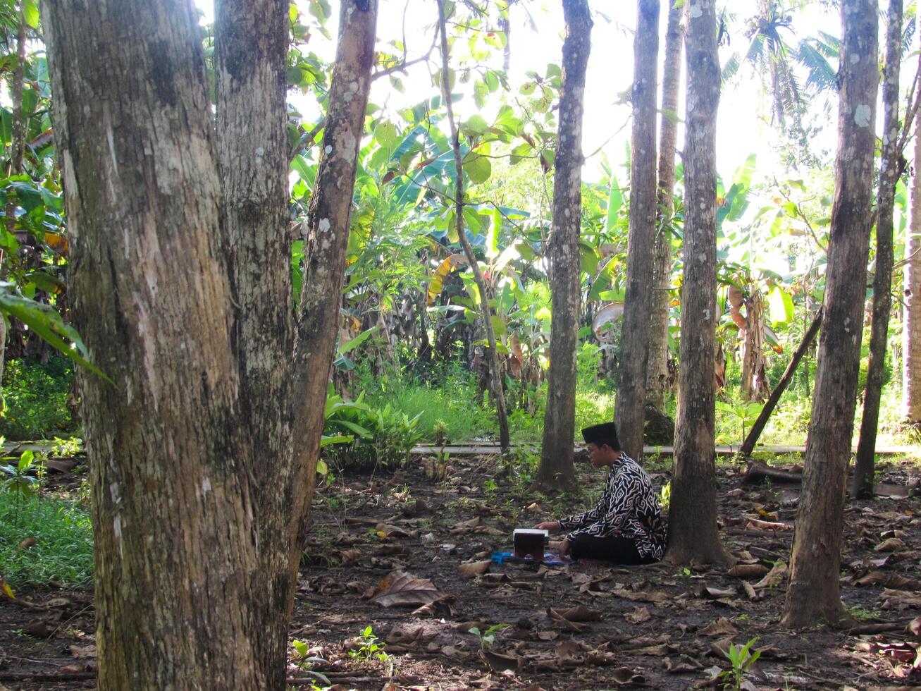 An Asian Muslim man is sitting and reading the Quran. The peace in the middle of forest makes it an energetic atmosphere of faith, traditional vibes photo