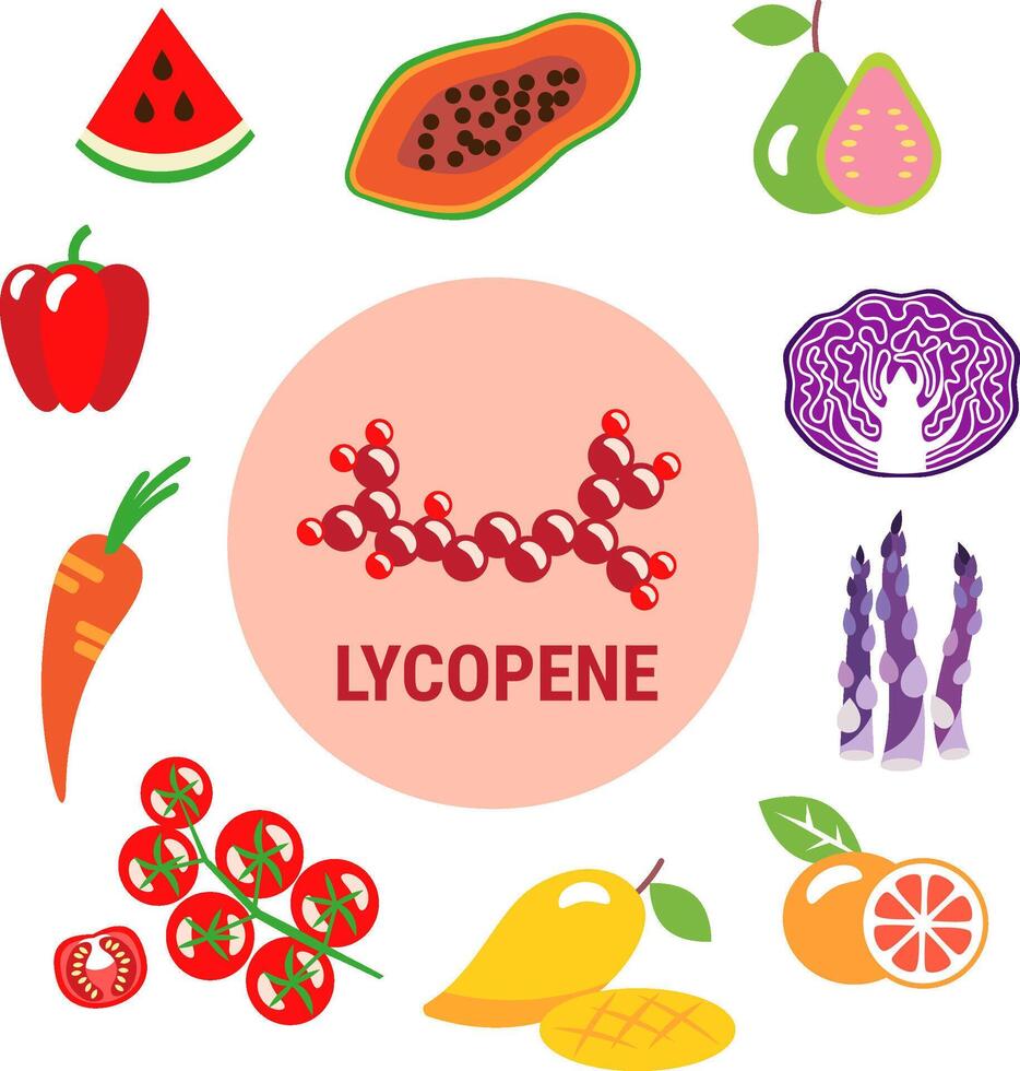 Best sources of Lycopene in fruits vector