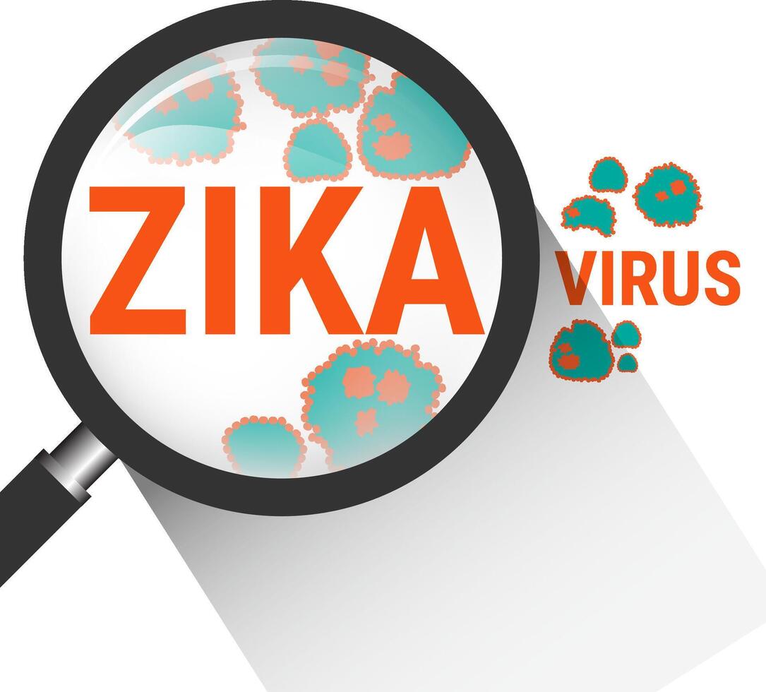 Magnifying glass with Zika virus vector