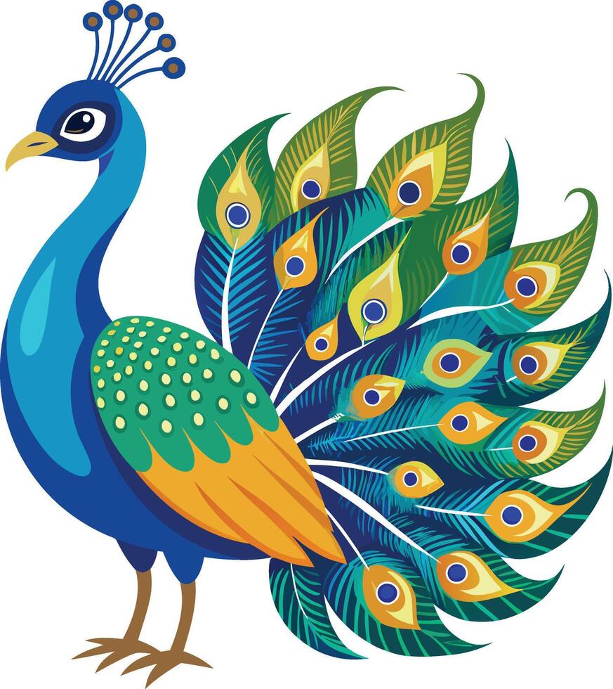 A Drawing of A Beautiful peacock vector