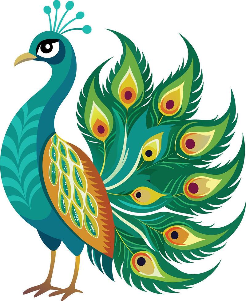 A Drawing of A Beautiful peacock vector