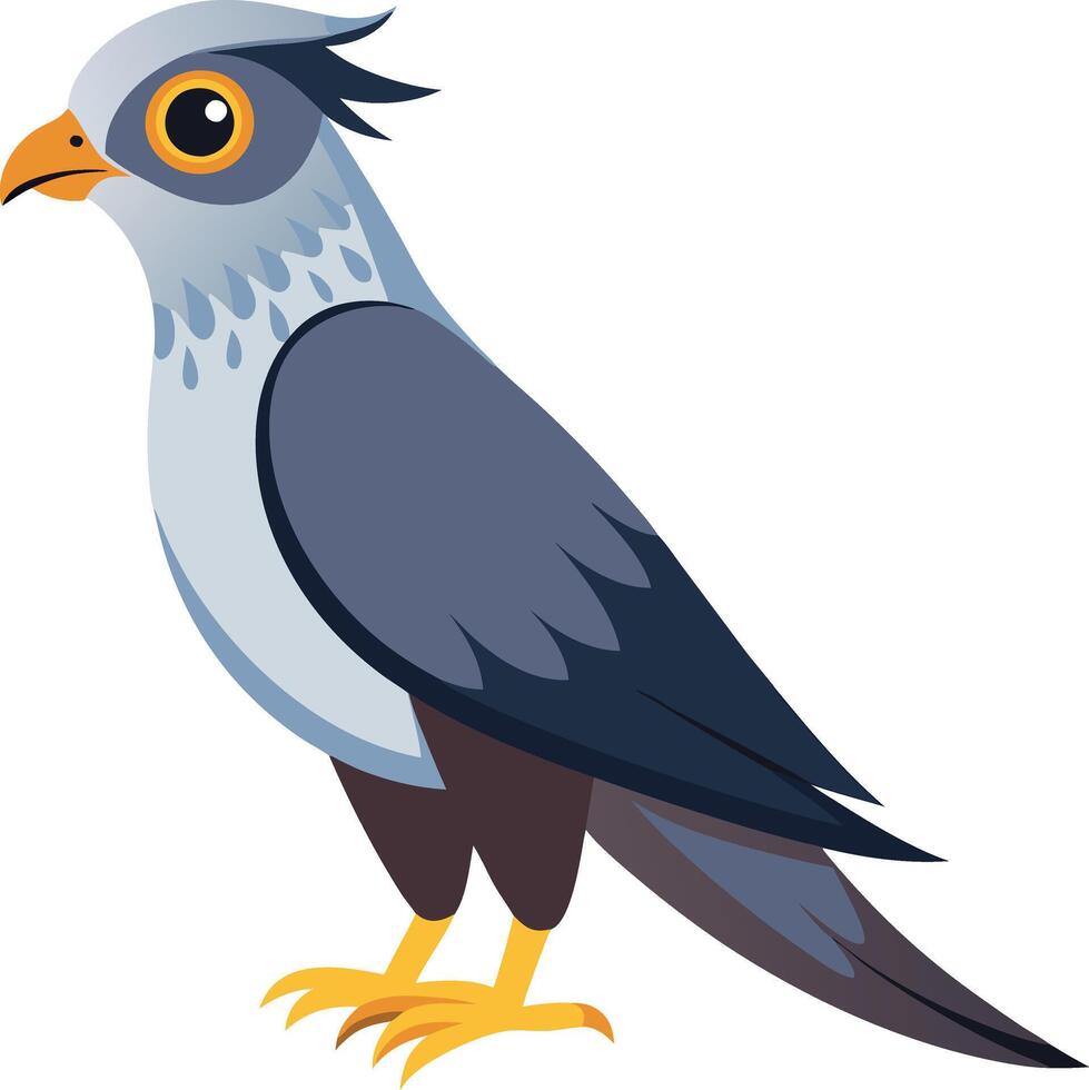 A Cuckoo Bird art illustration vector