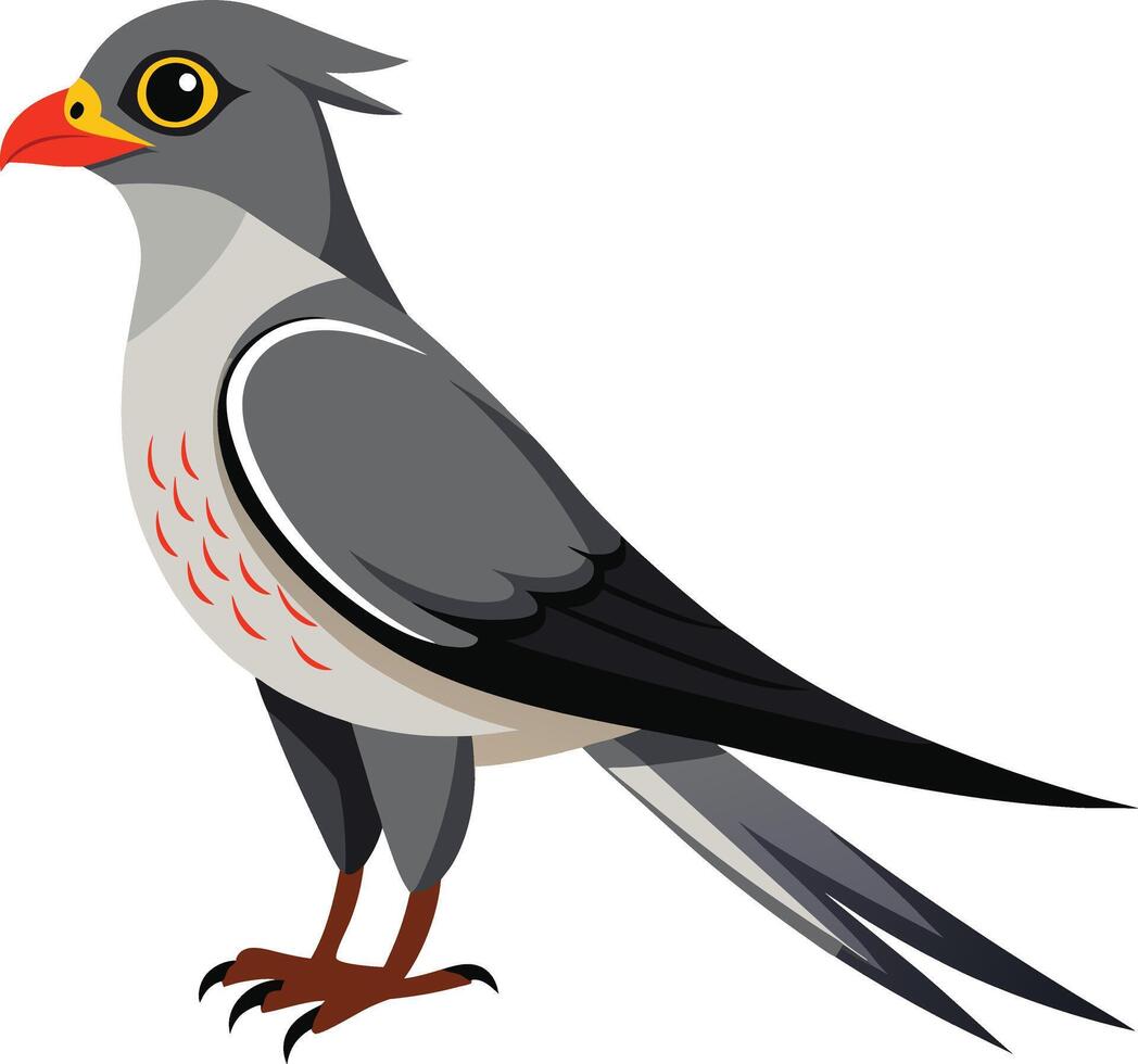 A Cuckoo Bird art illustration vector