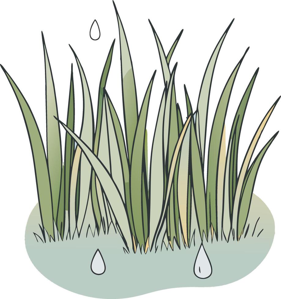 Green grass on whitebackground with dew drops vector