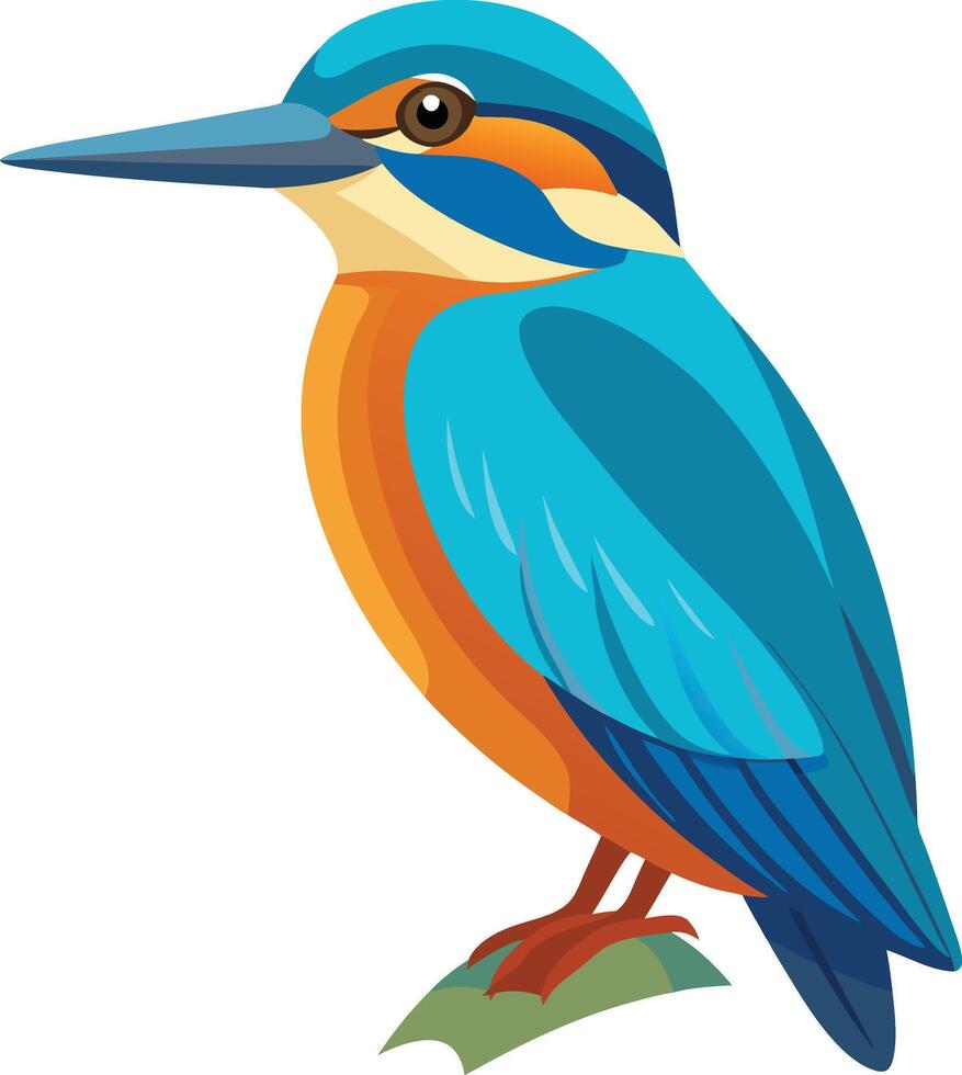 A illustration of kingfisher vector