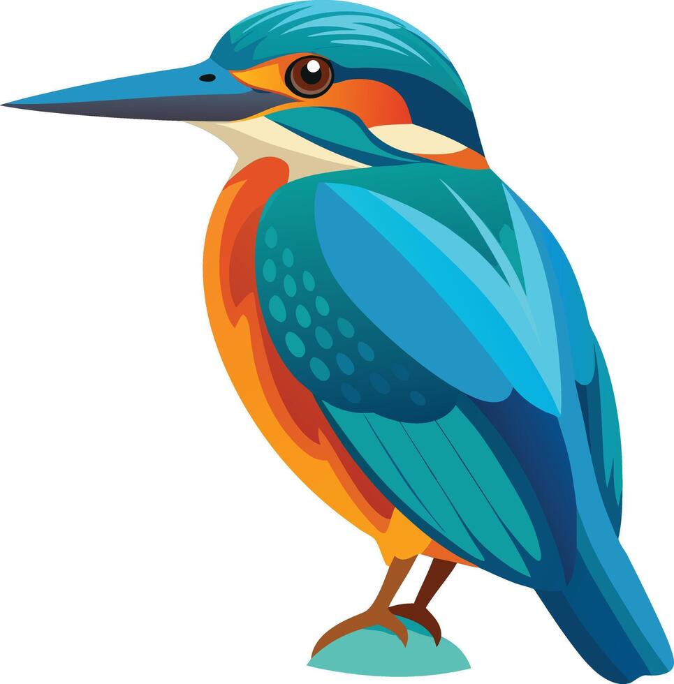 A illustration of kingfisher vector