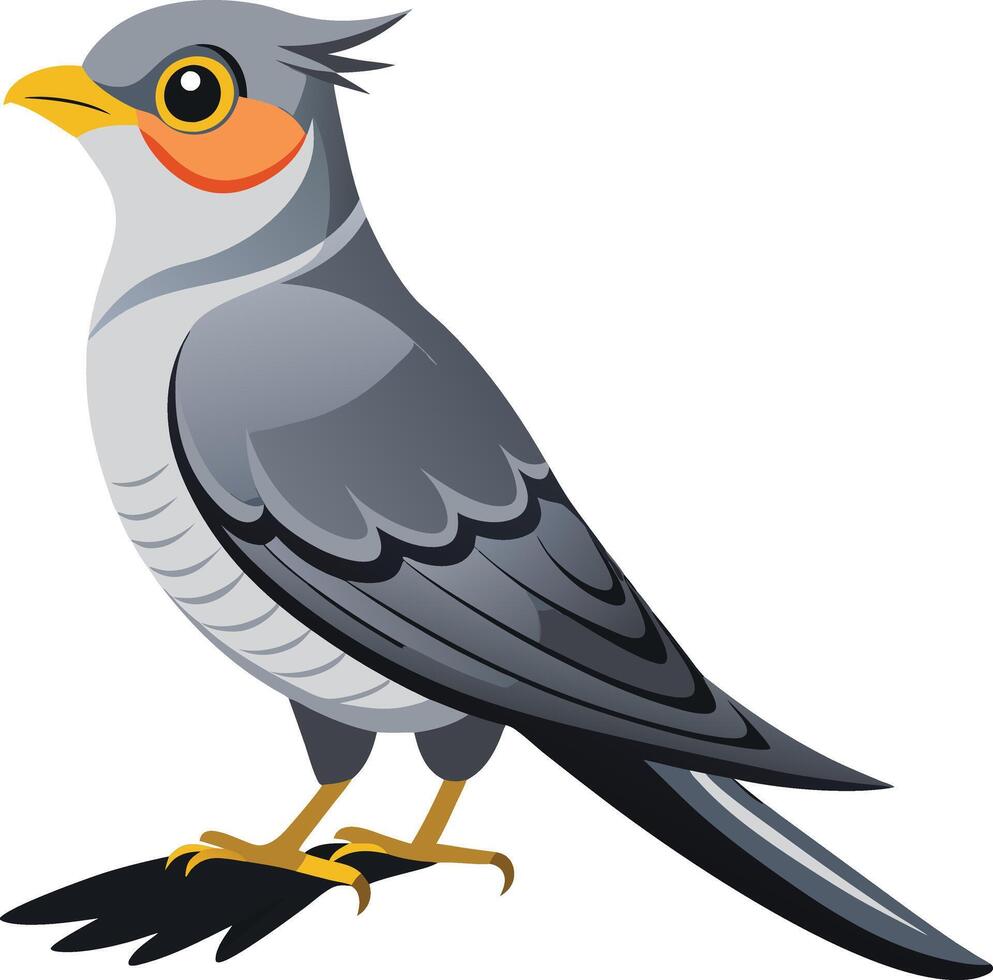 A Cuckoo Bird art illustration vector