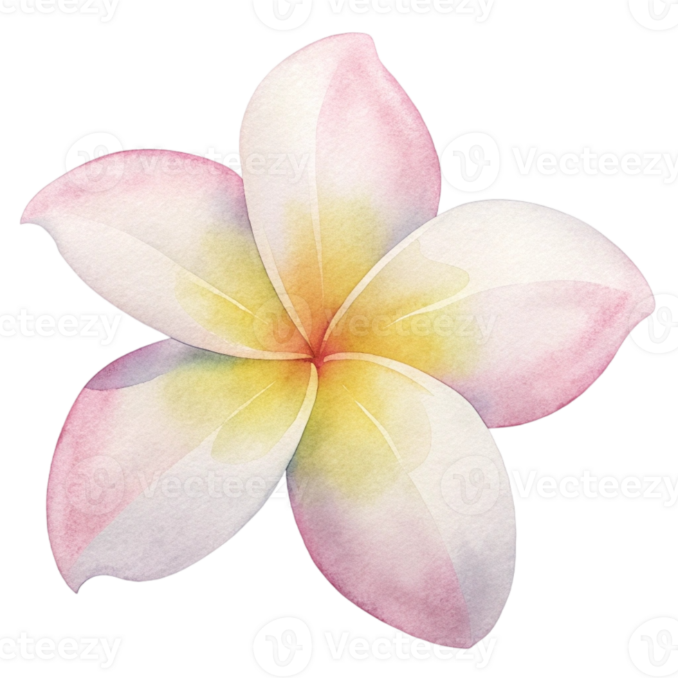 aigenerated watercolor of a flower Plumeria png