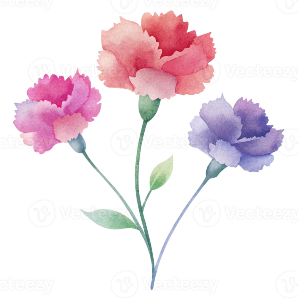aigenerated watercolor drawing of a canations png