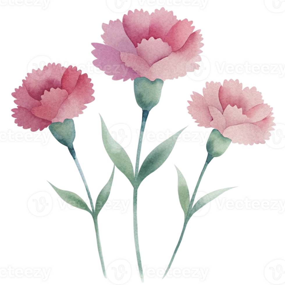 aigenerated watercolor drawing of a canations png