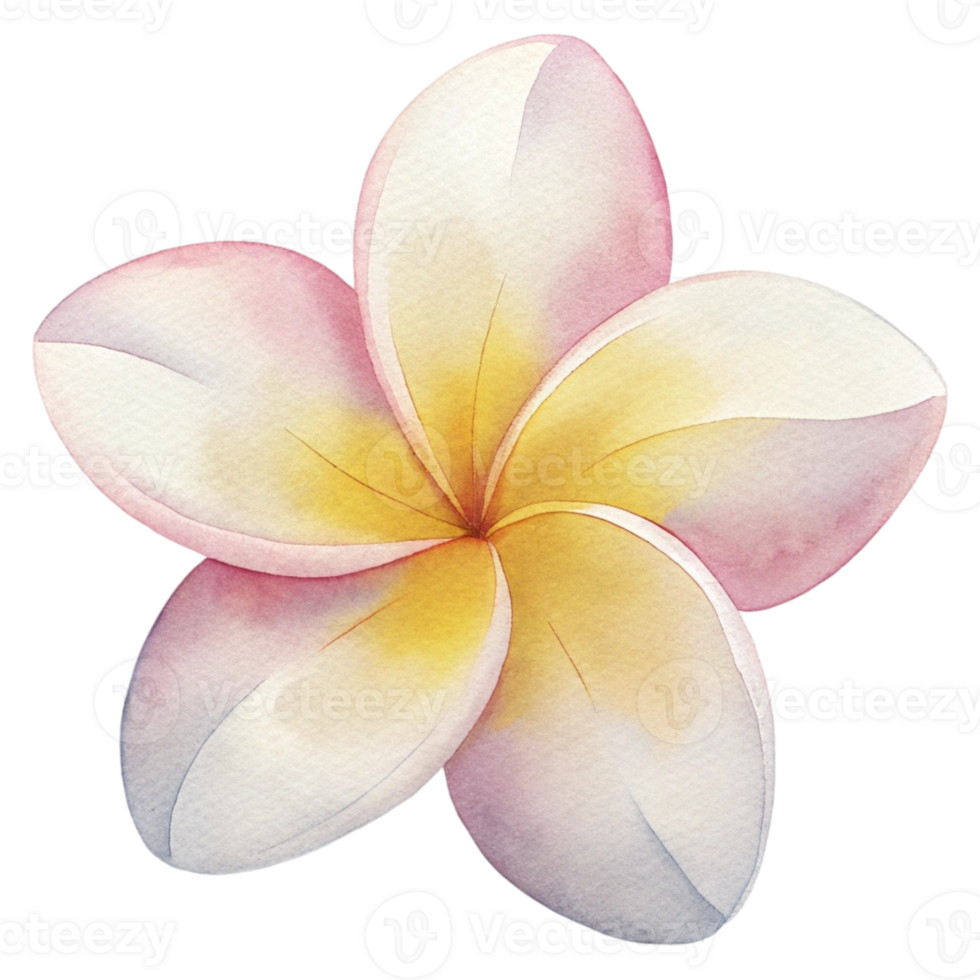 aigenerated watercolor of a flower Plumeria png