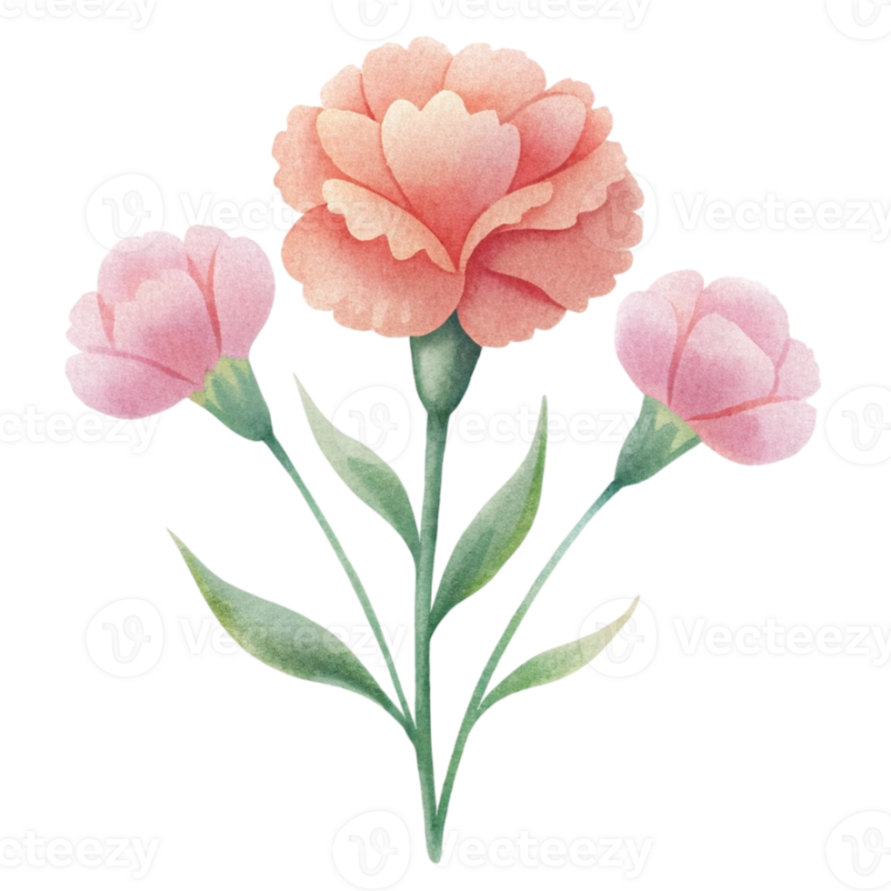 aigenerated watercolor drawing of a canations png