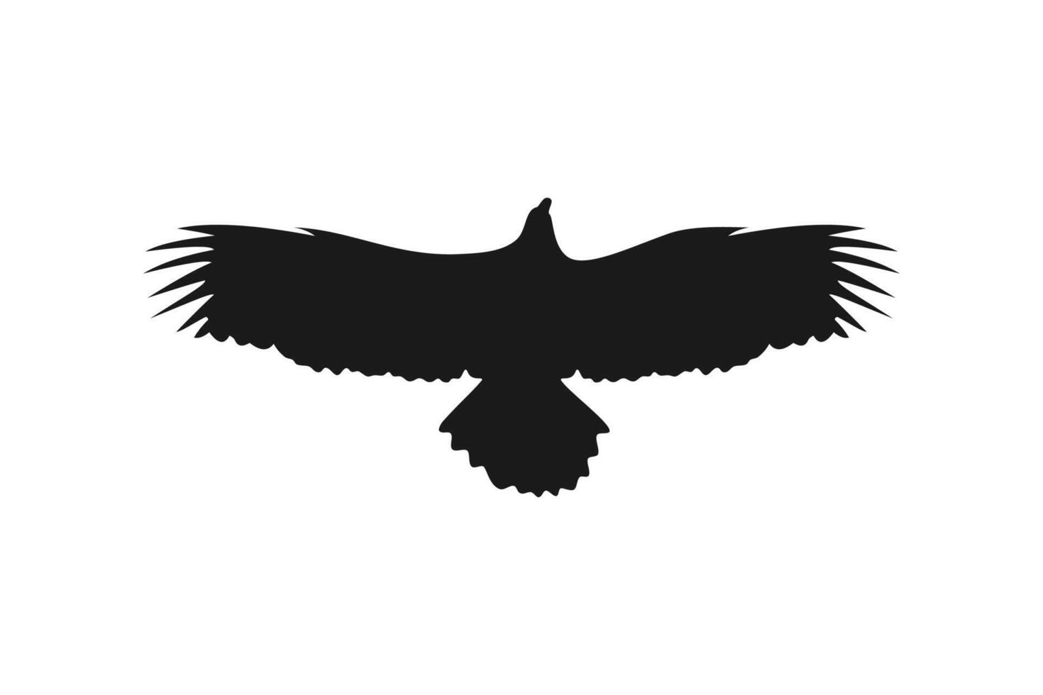 Flying eagle hawk falcon wing . silhouette black background illustration vector