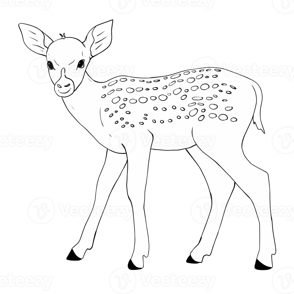 illustration of deer isolated png