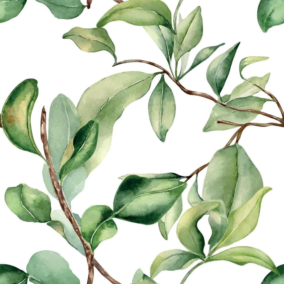 Leaves on branch fruit tree watercolor seamless pattern isolated on white. Foliage of citrus tree hand drawn. Bergamot , grapefruit plants in botanical sketch style. Assorted green leaf for print. vector