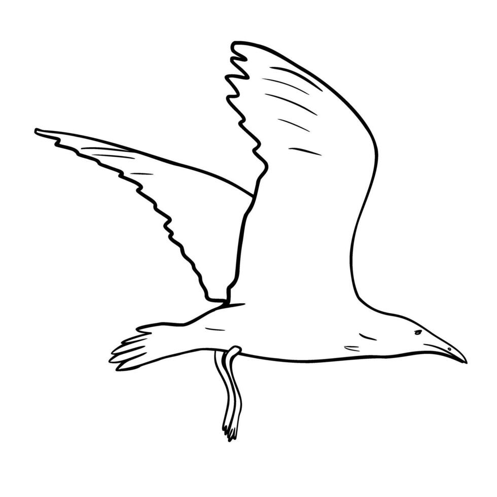 Flying seagull black and white illustration isolated. Single sea bird hand drawn ink silhouette. Simple bird contour. Herring gull in line art. Flight Marine bird in outline vector