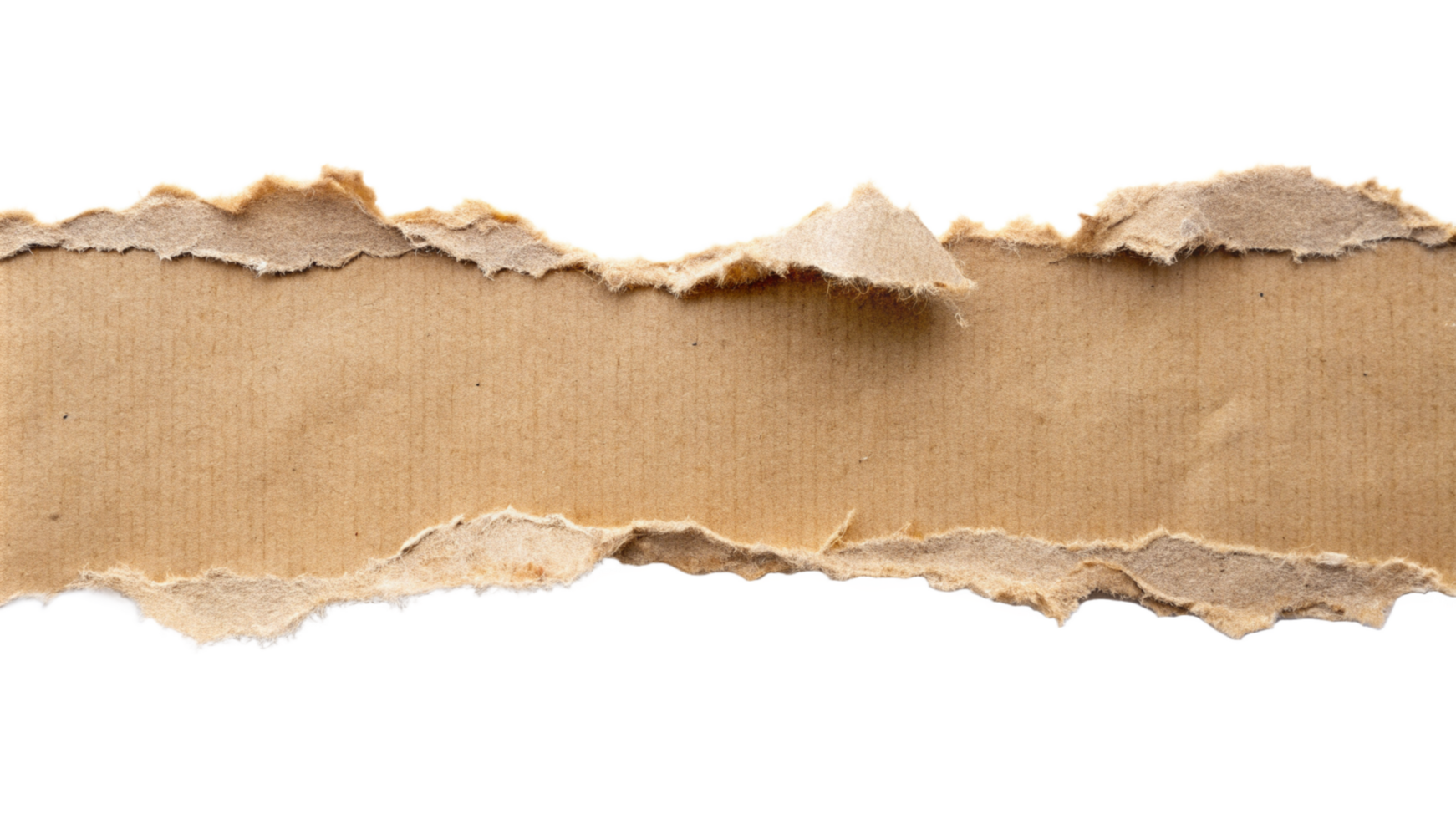 Torn ripper paper sheet Texture isolated on transparent background png