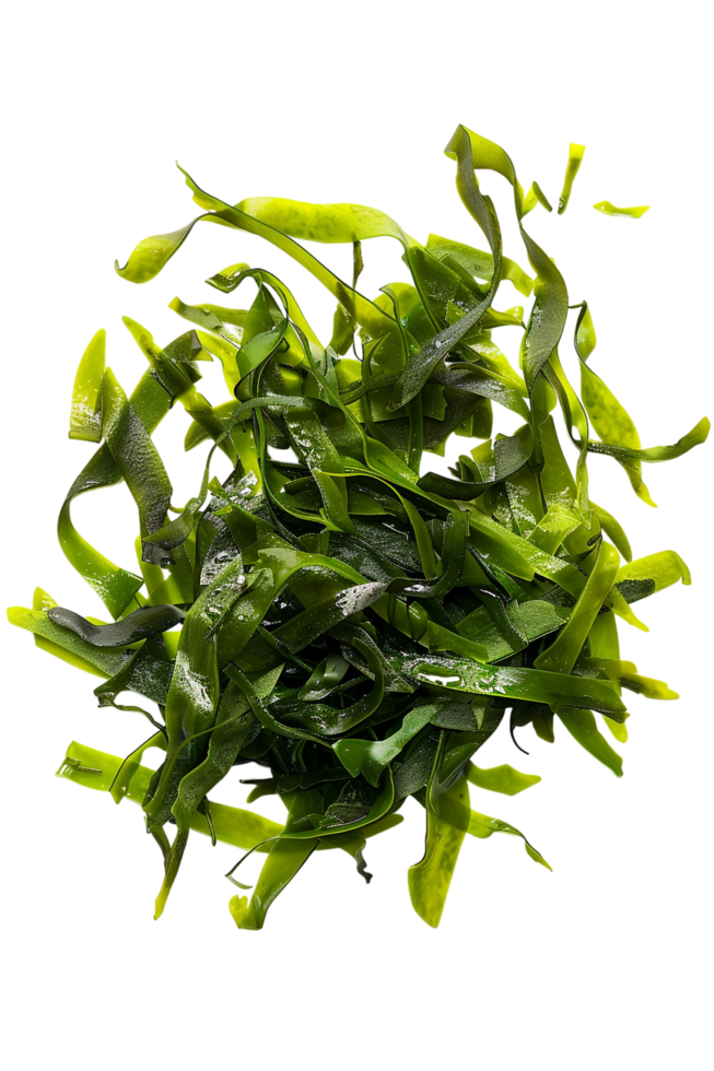 Nori Seaweed Sheets Isolated on transparent Background png
