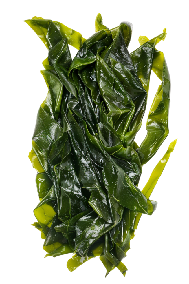 Nori Seaweed Sheets Isolated on transparent Background png