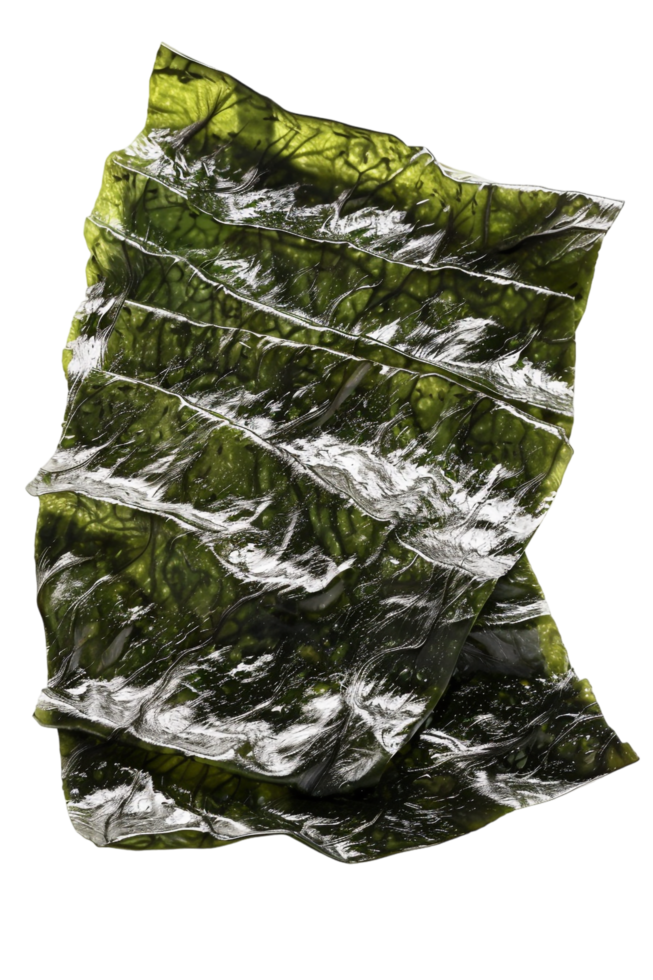 Nori Seaweed Sheets Isolated on transparent Background png