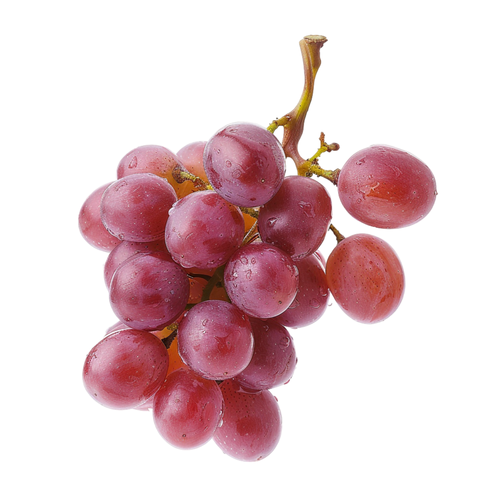 Grapes isolated on transparent background png