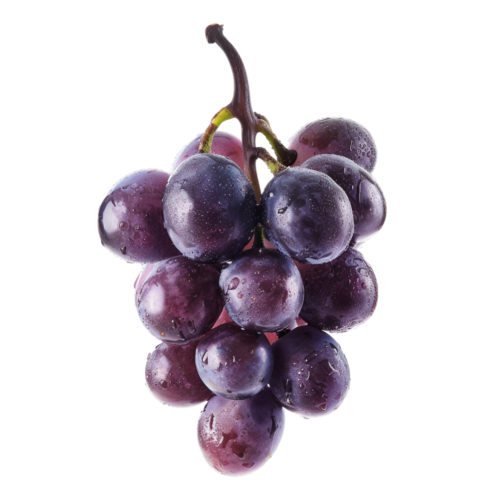 Grapes isolated on transparent background png