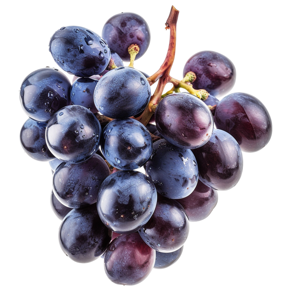 Grapes isolated on transparent background png