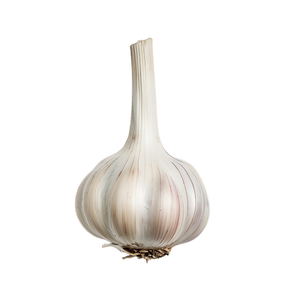 Isolated Garlic on transparent background png