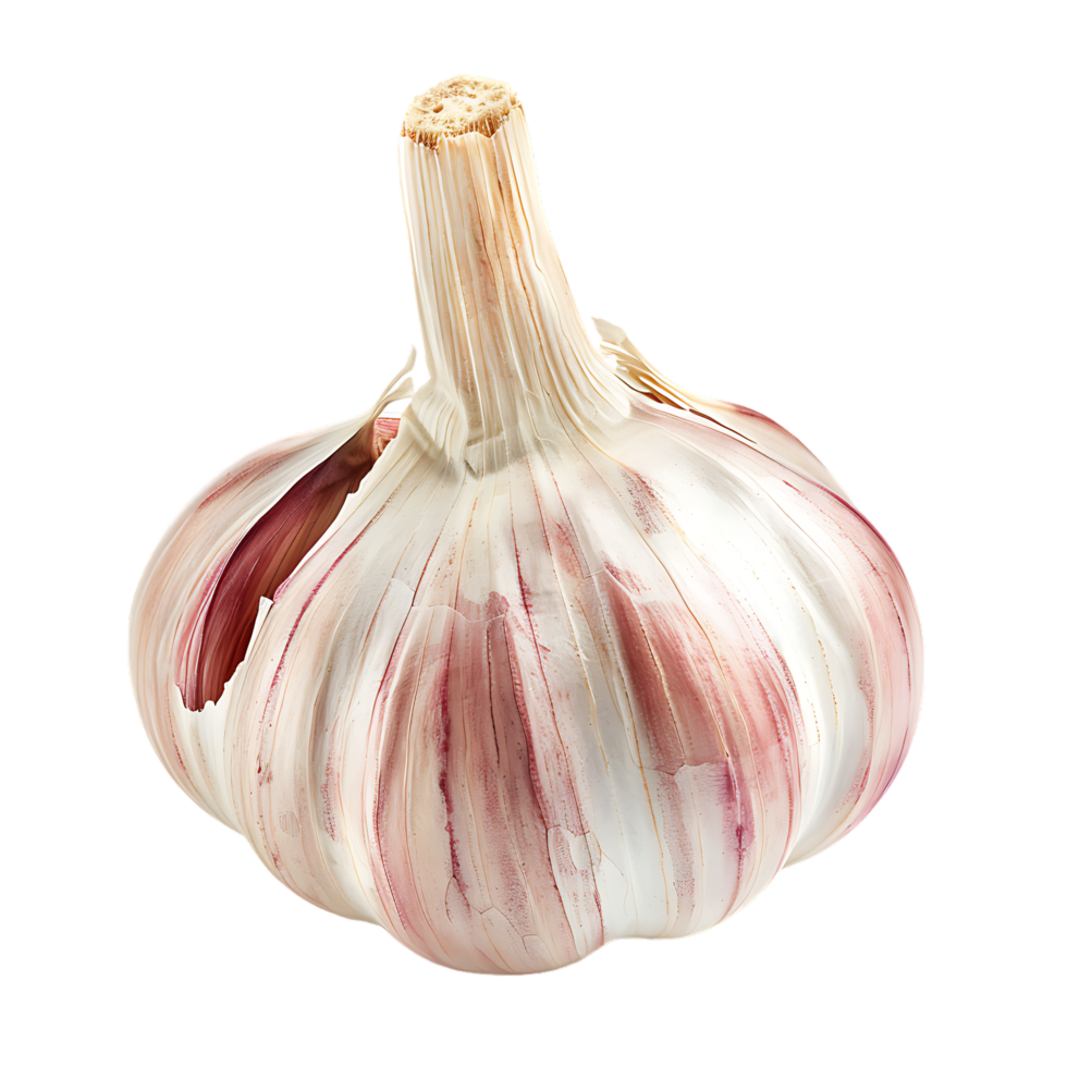 Isolated Garlic on transparent background png