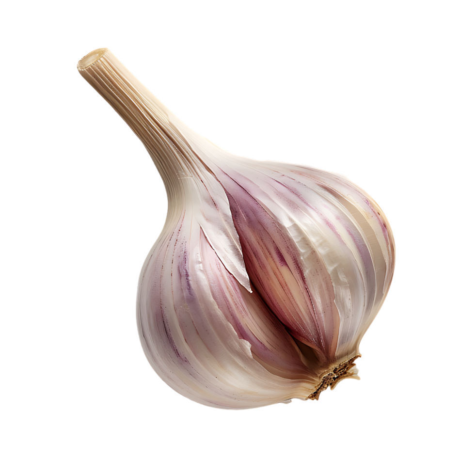 Isolated Garlic on transparent background png