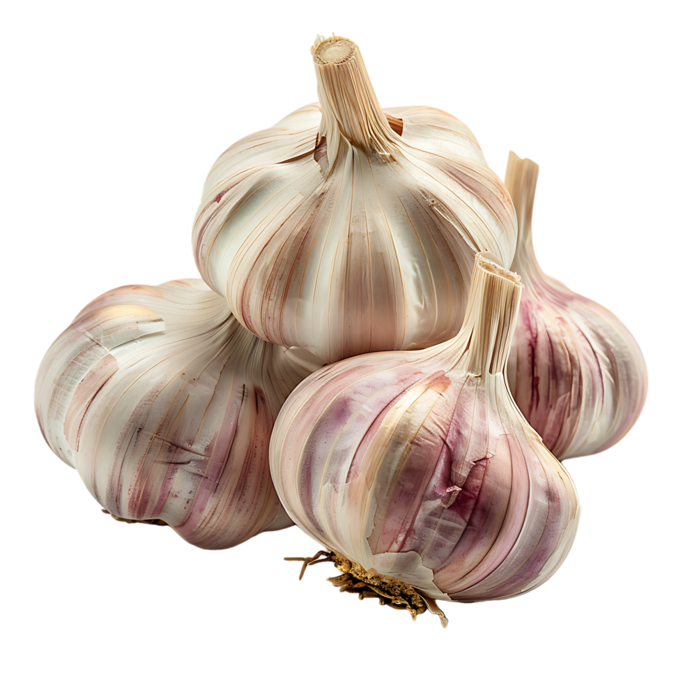 Isolated Garlic on transparent background png
