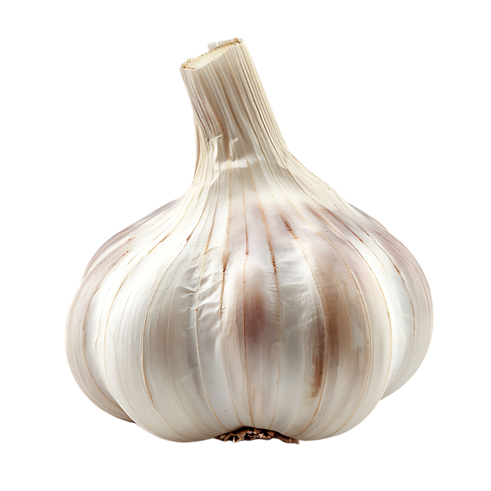 Isolated Garlic on transparent background png