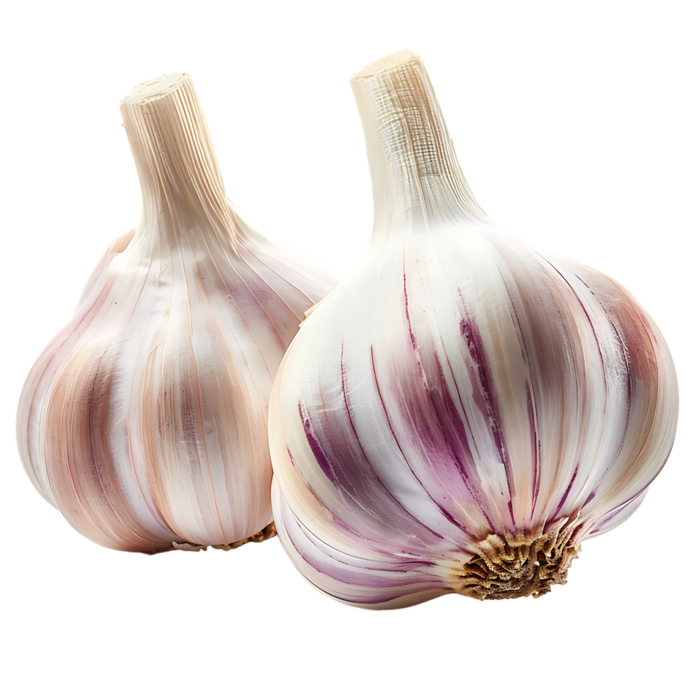 Isolated Garlic on transparent background png