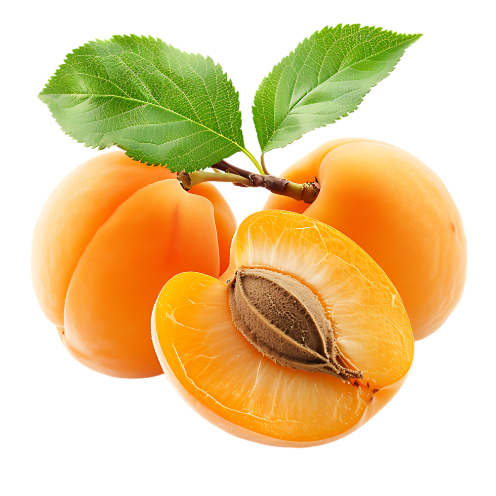Opened apricot isolated over transparent background png