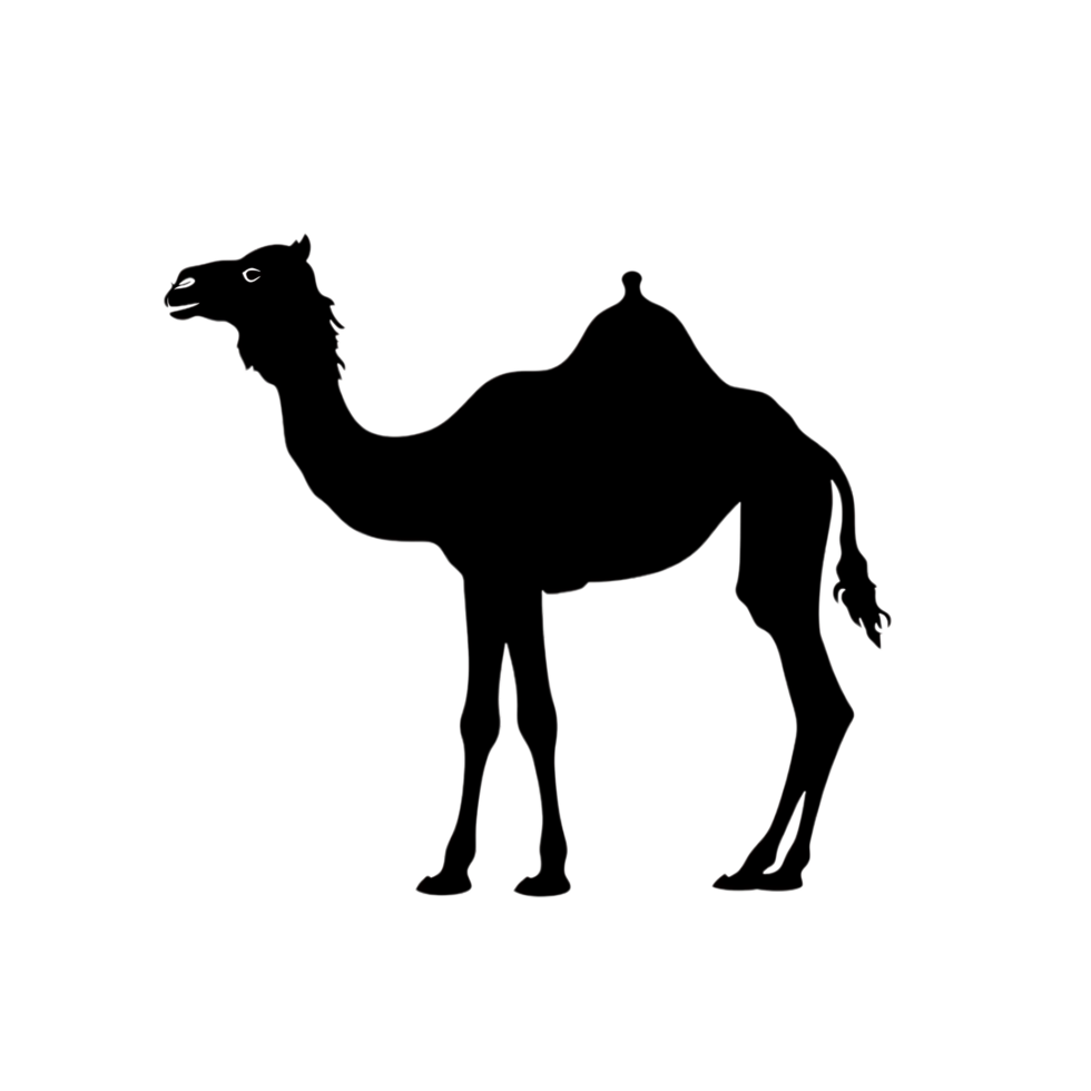 Camel silhouette Arabian pattern set against transparent background png