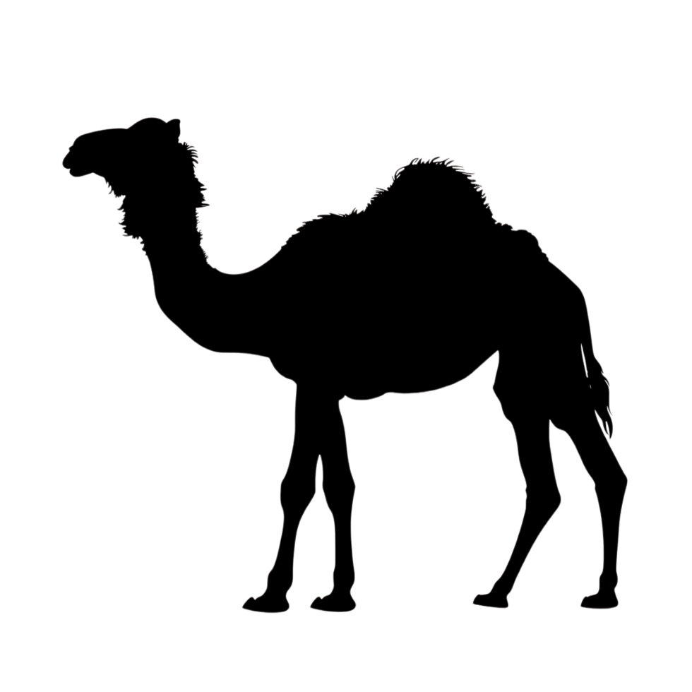 Camel silhouette Arabian pattern set against transparent background png