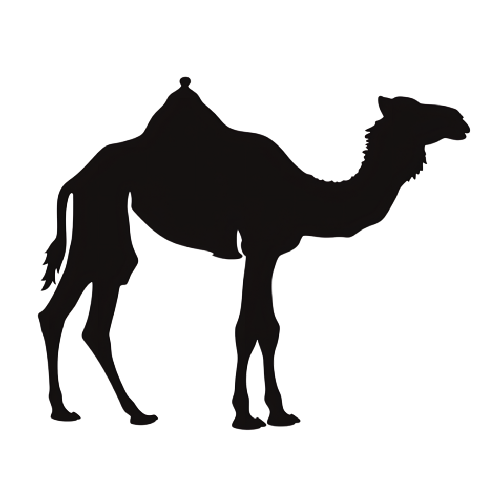 Camel silhouette Arabian pattern set against transparent background png