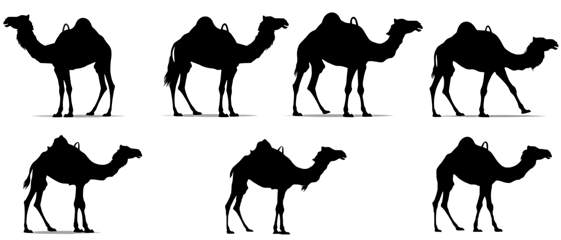 Camel silhouette Arabian pattern set against transparent background png