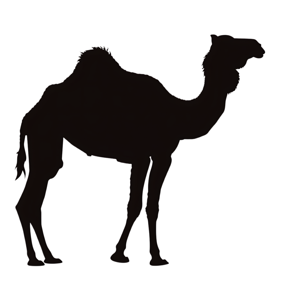 Camel silhouette Arabian pattern set against transparent background png