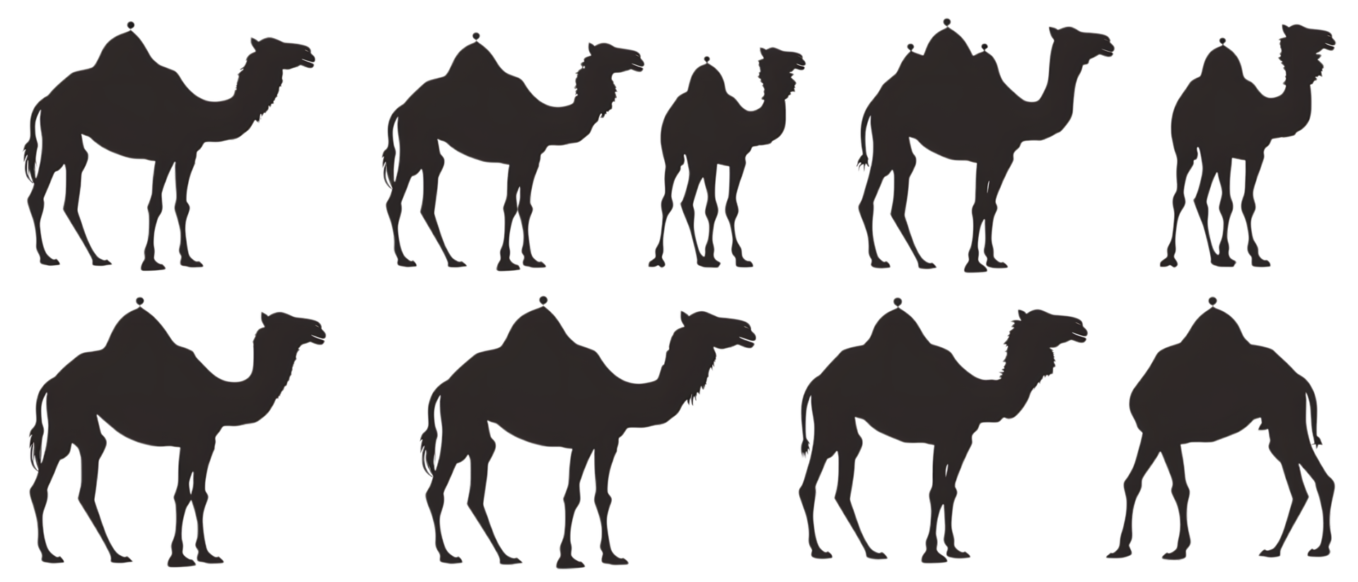 Camel silhouette Arabian pattern set against transparent background png