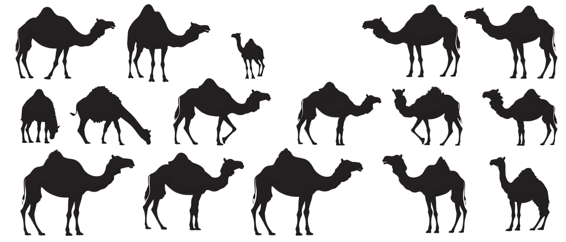 Camel silhouette Arabian pattern set against transparent background png