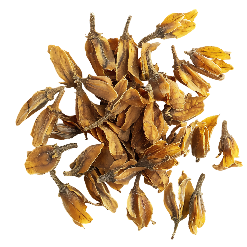 Close view of ceviche papakha porophyllum linaria Mexican herb food ingredient png